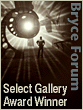 Select Gallery Award Winner